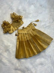 (SB204)Nakshtra Golden Ruffle Pavadai Sattai