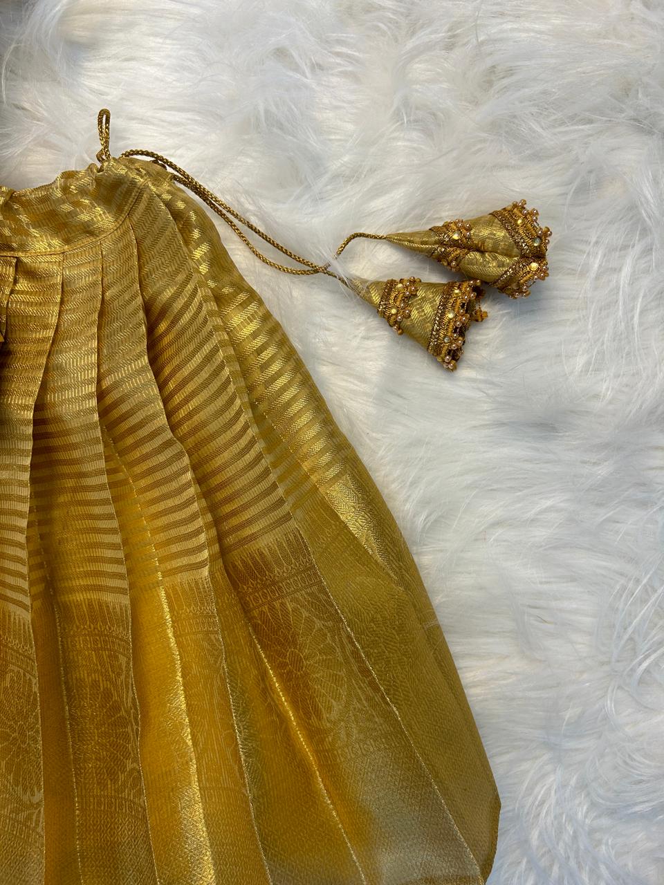 (SB058)Nakshatra Collections (Originally aari Worked) Pavadai Sattai in Golden Strips