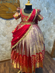 (SB479)Premium Sembarathi Originally Aari Worked Red Pattu Lehenga