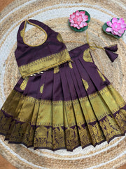(SB548) Pallaku Brown Silk Lehenga