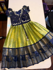 (SB614) Light Green with Ink Blue Aari Overcoat Silk Gown