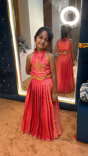 (SB620) Pink Banarasi Aari Worked Pavadai Sattai