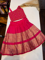 (SB666) Retta Petta Aari worked Crop Tops Princess Lehenga Set